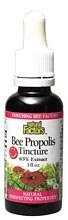 Natural Factors Bee Propolis Tincture 65%, 1-Ounce