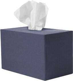 Tissue Box Sox - Wedgewood - Family