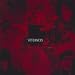 Stereocracy
