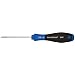 Wiha 36238 TorxPlus Screwdriver with SoftFinish Handle, IP15 x 80mm