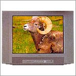 HITACHI Full Multi System 25" FLAT SCREEN CTV - C25 TF751S - 100-260V AC, 50/60 HZ, auto-switching