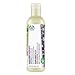 The Body Shop Rainforest Radiance Conditioner