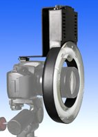 Ringleuchte 22W 5400°K mit Kamera-Adapter