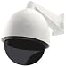 Photo : Swann Big Dome Deterrent 8-inch Security Camera Housing