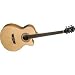 Washburn Festival EA20 Spruce Top Acoustic Cutaway Electric Mini Jumbo Flame Maple Guitar with 4 Band EQ Natural (Natural)