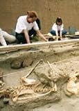 Ancient and Modern Cultures Part 1 : Ancient Man