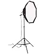 Photoflex Starlite Octo NXT Location Kit