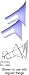 Super Shiels Large (pair) (29-35mm) (accessory for Breast Pump)
