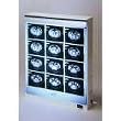 Wolf X-ray Econoline Illuminator 28" X 17" 2 Bank Unit - Model 29602 - Each