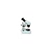 Celestron 44202 Advanced Stereo Microscope