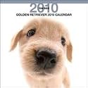 Golden Retriever 2010 Wall Calendar