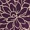 Aster, Plum
