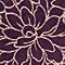 Aster, Plum