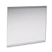 LCD Protect  Glass Monitor Filter for 19 20 LCD Monitor, Silver (KTKLCD19)