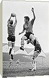 Box Canvas Print of Wolvehampton Wanderers v Newcastle United Football from Mirror Photos