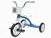 Carousel Tricycle 12" Blue