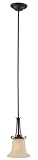Review Royce Lighting RP61120-814 / Royce Lighting RP61120-814 One-Light Adjustable Pendant, Misted Bronze with Frosted Etched Glass
