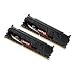 G.Skill 1866-919 Sniper Arbeitsspeicher 8GB (1866 MHz, 240-polig DIMM, 2x 4GB) DDR3-RAM Kit