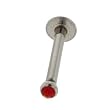 STAINLESS STEEL MONROE WITH RED CZ Gauge: 16, Ball Size: , Length: 10mm Sold as a Pair