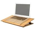 Macally EcofanPro Ständer mit Lüfter (USB 2.0) für Notebook, 43,2 cm (17 Zoll)