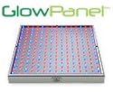 GlowPanel 14 Watt LED Growing Light Panel-Plant Grow Light Rivals 60 Watt Metal Halide/HPS Full Spectrum Growth Lite