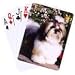 shih tzu - Dog Breed Cards Shih Tzu