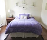 College Plush Comforter - Lavender
