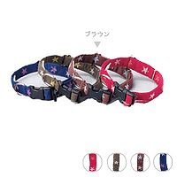FIELD　POINT　スター　カラー　M
