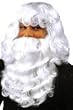 Santa Wig and Beard Set Adult Size