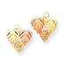 Genuine IceCarats Designer Jewelry Gift 10K Black Hills Gold Heart Earrings