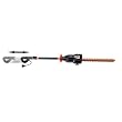 Factory Reconditioned Remington 17-Inch 3.0 Amp AXCESS Electric Hedge Trimmer with 5 Position Pivoting Power Head And Telescoping Pole #AT3017BR ~ Remington