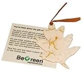 Gift of Green - Cilantro Leaf Card - For each Gift of Green purchased, one native tree is planted in an ecosystem restoration project in the United States.
