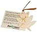 Gift of Green - Cilantro Leaf Card - For each Gift of Green purchased, one native tree is planted in an ecosystem restoration project in the United States.