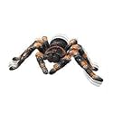 Uncle Milton Remote Control Tarantula
