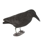 Flocked Crow Decoy Shooting Hunting Vermin Corvid Control