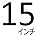 f.15インチ白
