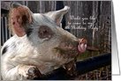5th Birthday Party Invitation - Cute Pig Card 5th Birthday Party Invitation - Cute Pig Card