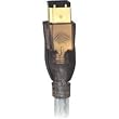 Accell A005B-006H FireWire/1394 Gold 6-Pin/6-Pin Cable (6 Feet)
