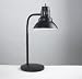 Electrix Gooseneck Incandescent Flexible Task Lamp