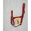 Hamilton Halter Company 3das-P Nyl Chinhalt Pony Red