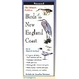 The Ultimate Guide to Birds of the New England Coast (Folding Guides) by Mark S. Garland