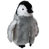 Daphne's Junior Penguin Head Cover