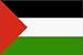Palestine Flag Polyester 2 ft. x 3 ft.