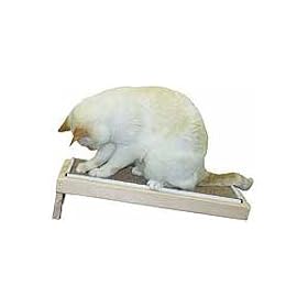 Single Climb n Claw Scratcher : Size ONE SIZE