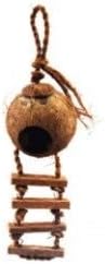 Bird Toy Jaggerpet Naturals Coconut Hideaway with Ladder