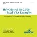 Holy Macro! It's 2,500 Excel VBA Examples: Every Snippet of Excel VBA Code You'll Ever Need