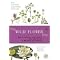 Evidence-based Herbal Medicine