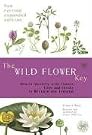 The Wild Flower...