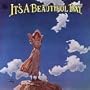 It's a Beautiful Day