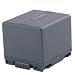 Lithium Ion Digital Cameras Battery For Panasonic PV-GS500